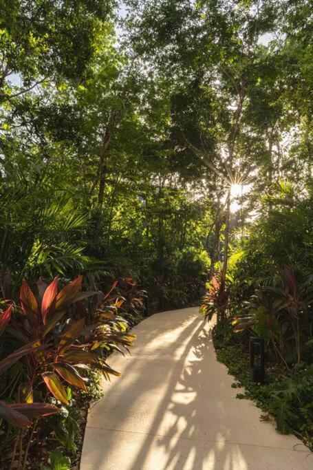 Stunning 2 Bd Mistiq Ph Rooftop Private Pool Tulum